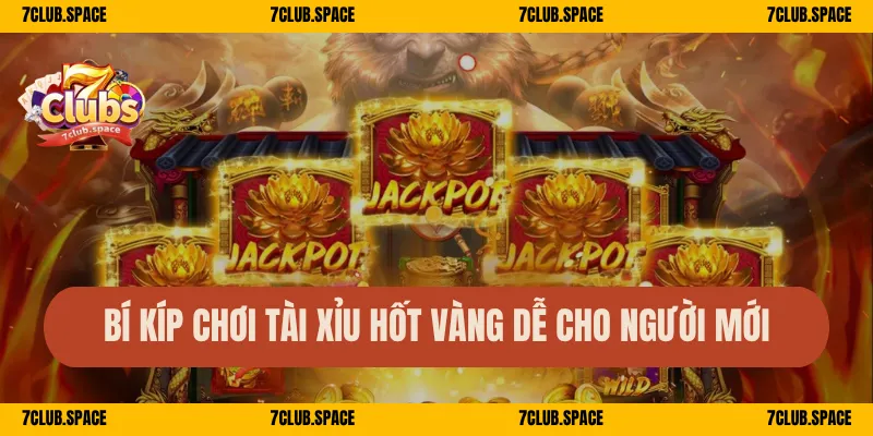 Bí kíp chơi Tài Xỉu hốt vàng dễ cho người mới