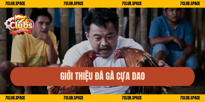 Giới thiệu đá gà cựa dao
