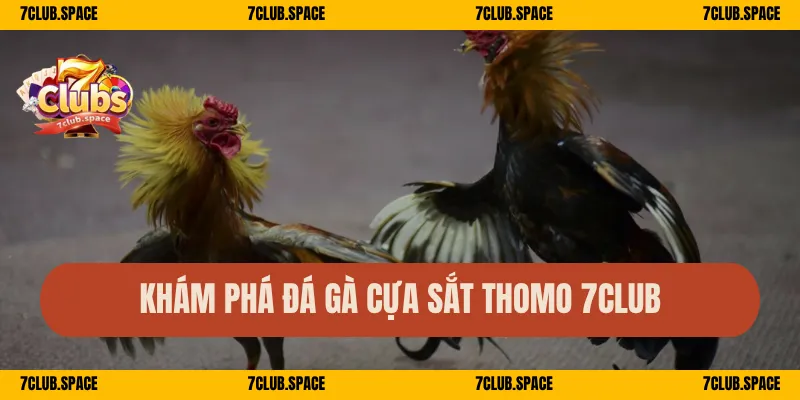 Khám phá thế giới đá gà cựa sắt