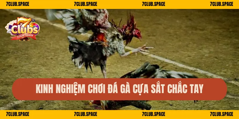 Kinh nghiệm chơi đá gà cựa sắt chắc tay