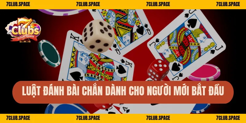 Luật đánh bài chắn dành cho người mới bắt đầu